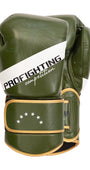 Guantoni PROFIGHTING Green