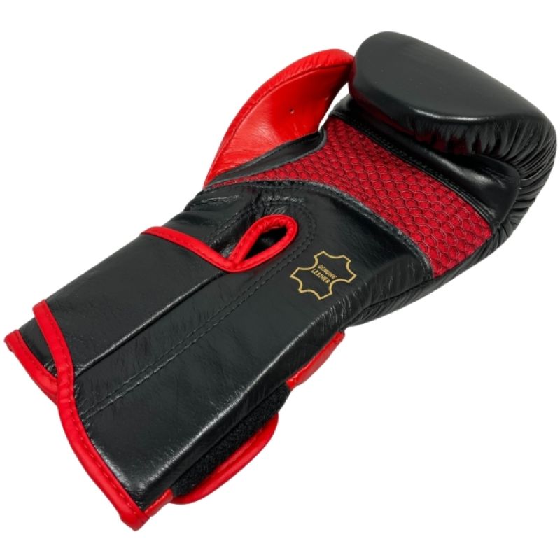 RBT-PRO-TRAIN Boxing Gloves 12 oz
