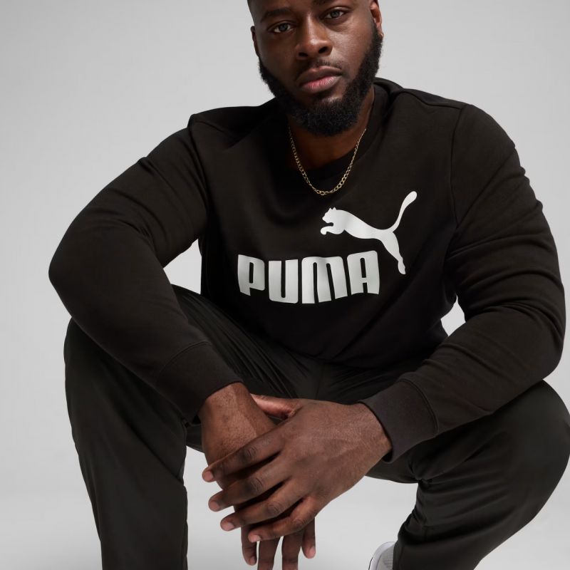 Puma ESS No.1 Logo Crew TR M sweatshirt 682560 01