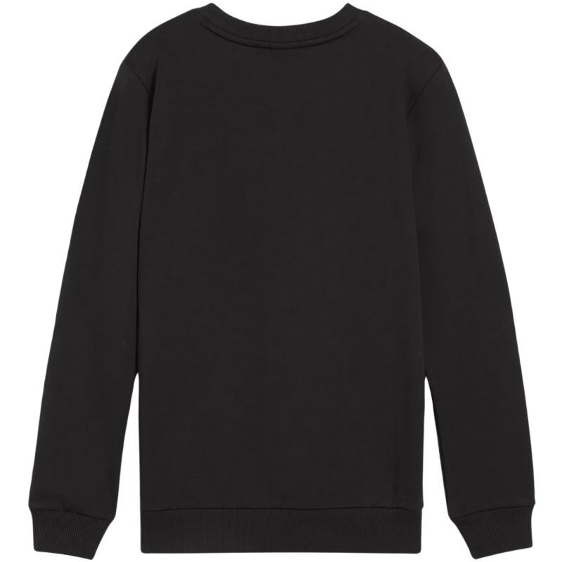 Puma Team Goal Casuals Crew Neck Sweat Jr 658593 03