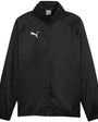 Puma Team Goal All Weather Men's Jacket Black 659038 03