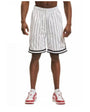 Karl Kani Small Signature Pinstripe Mesh Short M 6014921