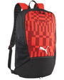 Puma Individual Rise backpack 79911 01